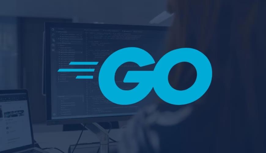 软件公司开发语言GO